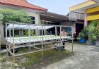 Dukung-Ketahanan-Pangan-Di-Sidoarjo-Kota-Ada-Hidroponik-Cabai-dan-Terong