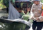 Budidaya-Ikan-Nila-Warga-Desa-Terung-Wetan-Dukung-Asta-Cita-Presiden-Prabowo-di-Sektor-Ketahanan-Pangan