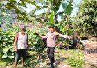Aiptu-Iswandi-Sambangi-Petani-Mandiri-Dukung-Ketahanan-Pangan