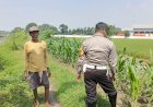 Sambang-Desa-Polsek-Tarik:-Sinergi-Polisi-dan-Warga-Majukan-Pertanian-Jagung