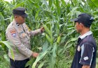 Bhabinkamtibmas-Desa-Bakung-Temenggungan-Masifkan-Program-Ketahanan-Pangan-Polresta-Sidoarjo
