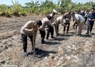 Wujudkan-Swasembada-Pangan,-Optimalkan-Tanam-Jagung-di-Desa-Punggul-Gedangan
