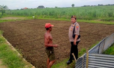 Warga-Jatikalang-Ubah-Lahan-Kosong-Jadi-Produktif-dengan-Tanaman-Sayur