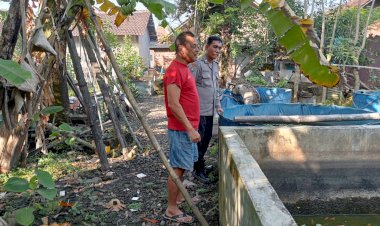 Sukseskan-Ketahanan-Pangan,-Bhabinkamtibmas-Himbau-Peternak-Sapi-di-Candi-Sidoarjo-Tingkatkan-Pola-Gizi-Makanan-Hewan