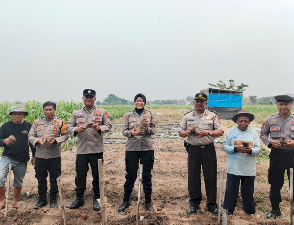 Polresta Sidoarjo Ajak Warga Budidayakan Uwi Ungu, Dukung Ketahanan Pangan dan Green Policing