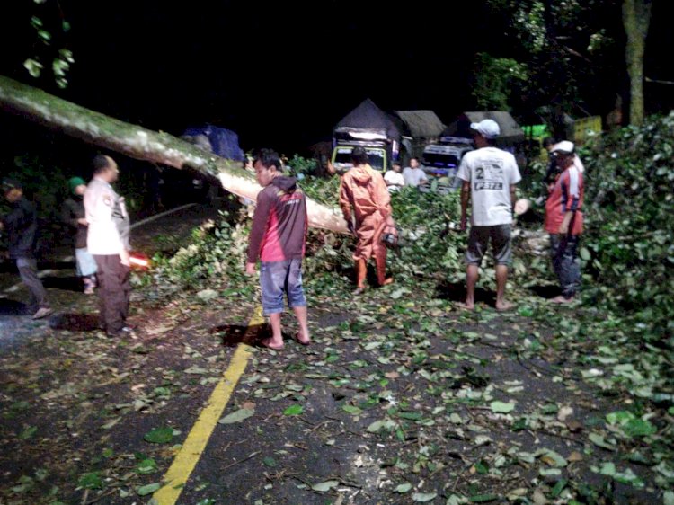 Gercep Polisi Bersama Warga Tangani Pohon Tumbang, Jalur Nasional Lintas Gumitir Kembali Lancar