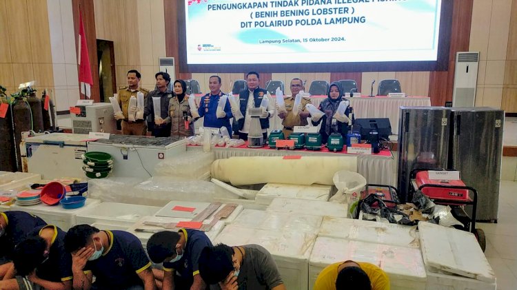 KKP Apresiasi Polda Lampung Ungkap Penyelundupan Baby Lobster