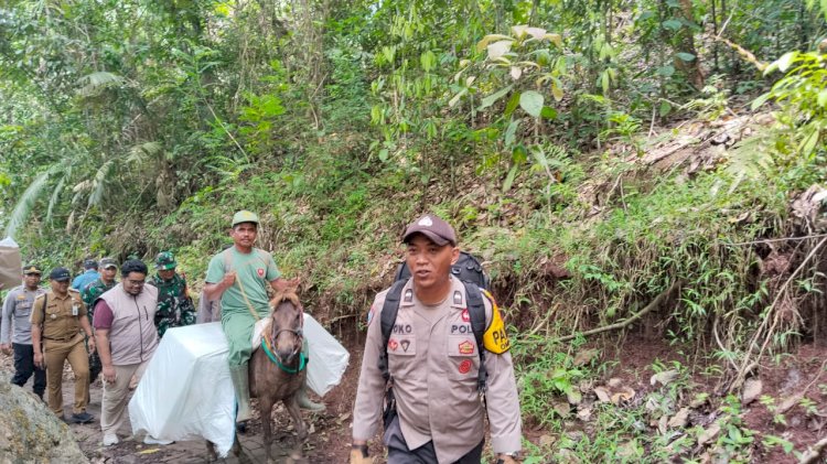 Penuh Perjuangan, Petugas Distribusikan Logistik Pilkada Menggunakan Kuda ke TPS Terpencil di Jember