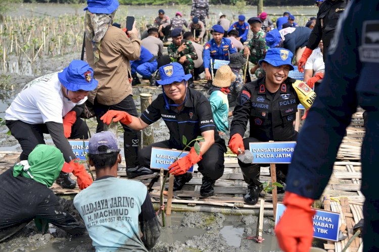 Lestarikan Lingkungan, Ditpolairud Polda Jatim Tanam Belasan Ribu Bibit Mangrove di Gresik