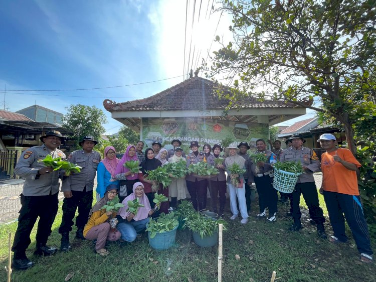 Polsek Sedati Bersama Warga Swan Regency Buncitan Panen Perdana Ketahanan Pangan