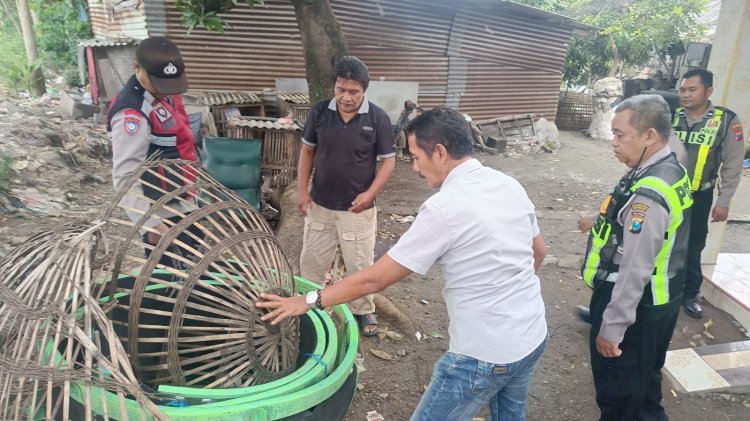 Polresta Sidoarjo Bongkar Dua Arena Sabung Ayam di Lokasi Beda